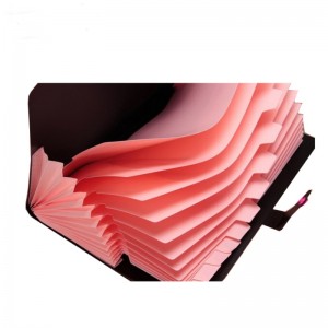 Fillteán a leathnú A5 Litir Méid PP PP Póca Plaisteach